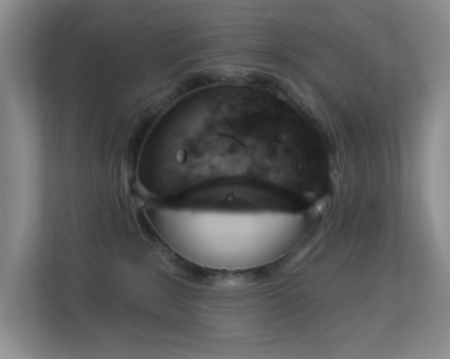 X0000113880235200909241359