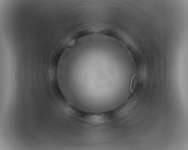 X0000113880236200909241359