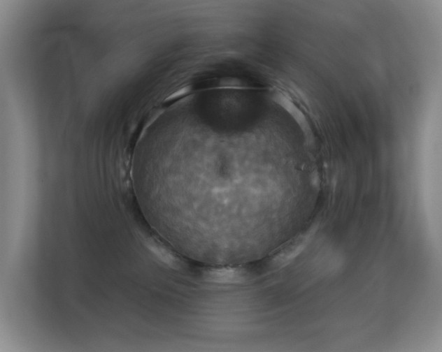 X0000113880237200909241359
