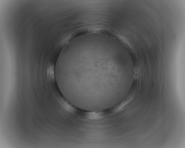X0000113880238200909241359