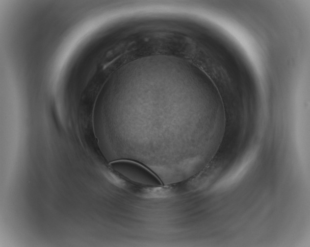 X0000113880239200909241359