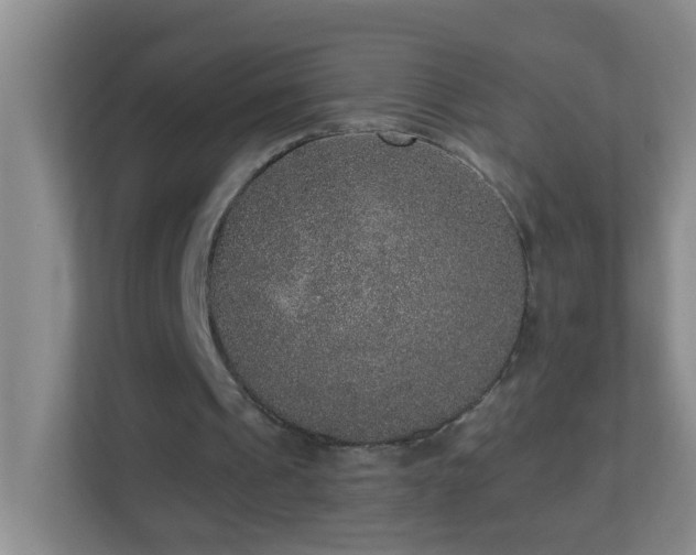 X0000113880241200909241358