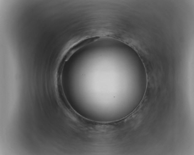 X0000113880242200909241358