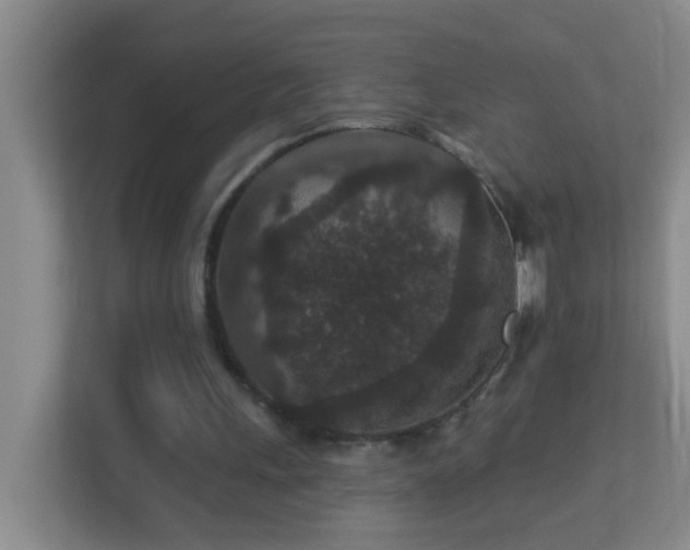 X0000113880243200909241358
