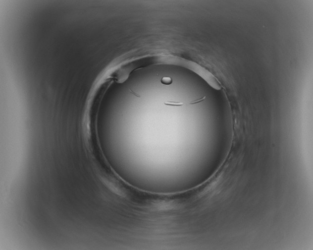 X0000113880246200909241358