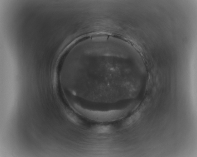 X0000113880247200909241358