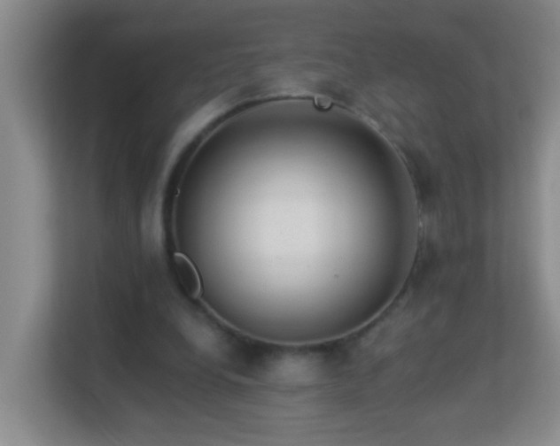 X0000113880248200909241358