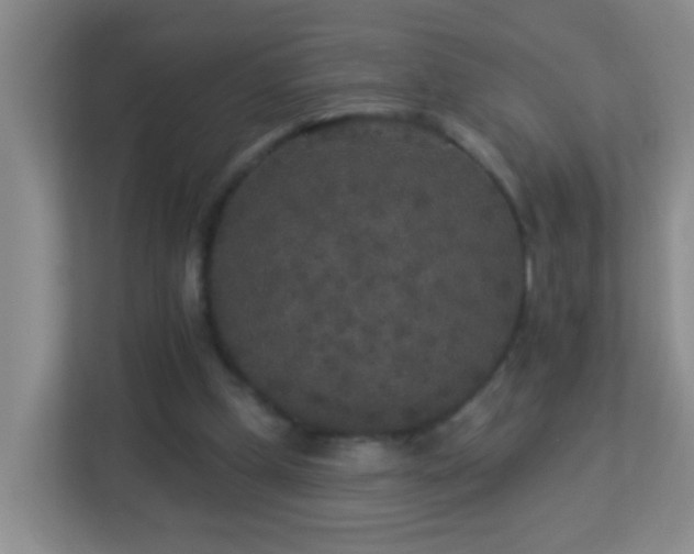 X0000113880249200909241358