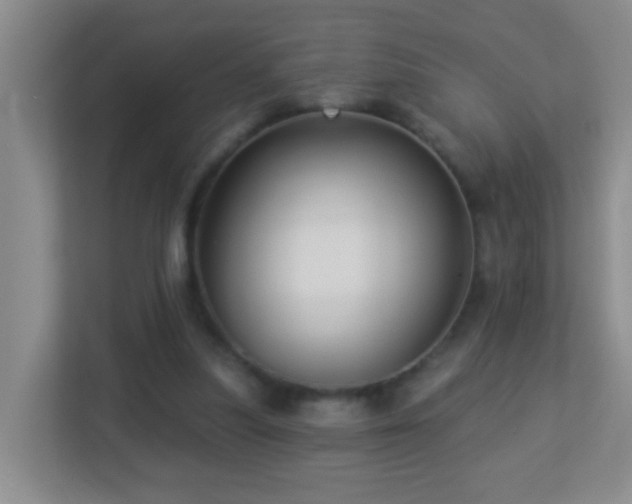 X0000113880251200909241358