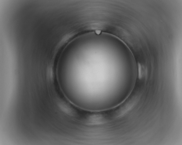 X0000113880252200909241358
