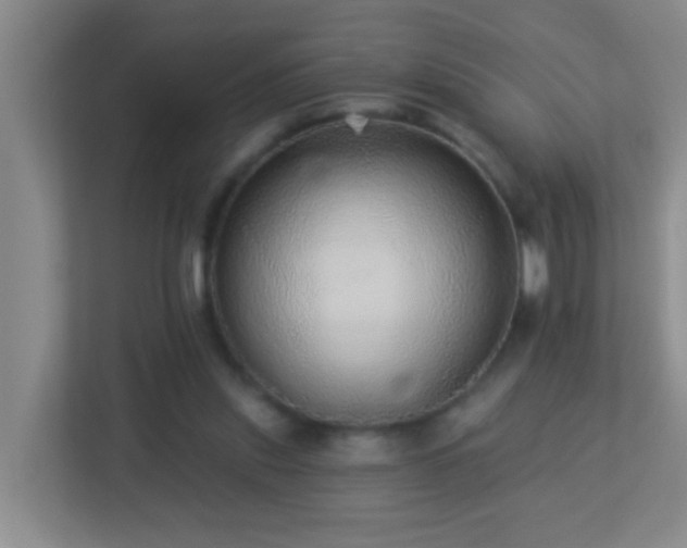 X0000113880253200909241358