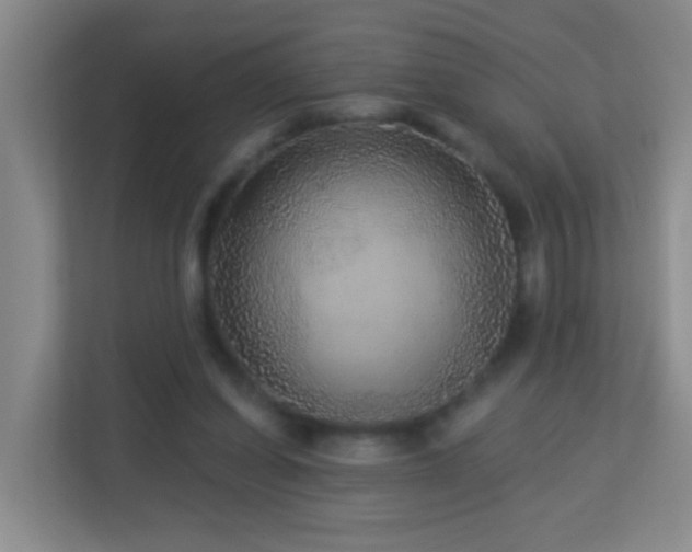 X0000113880254200909241358