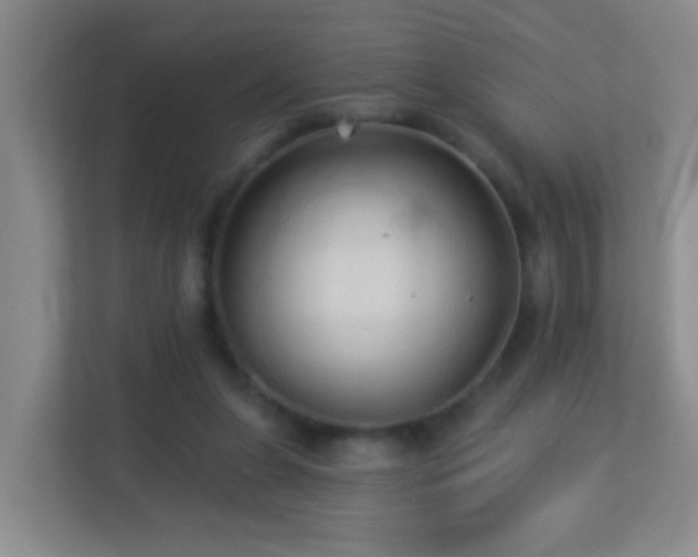 X0000113880255200909241358