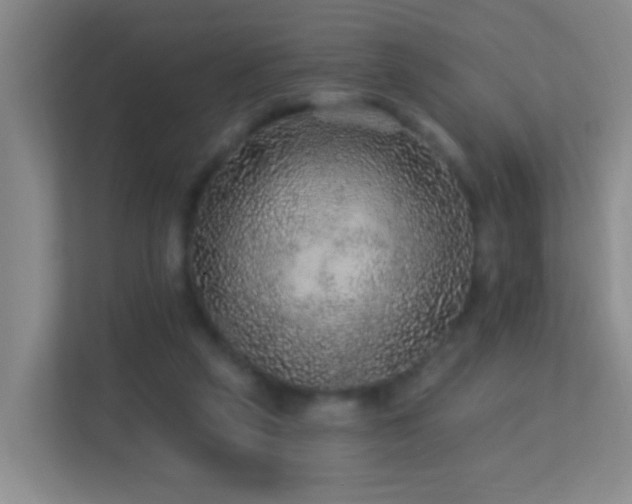 X0000113880257200909241358