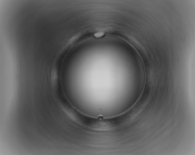 X0000113880260200909241358