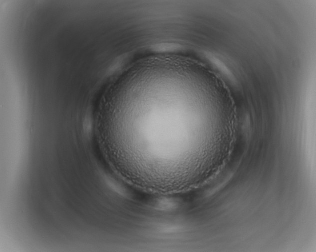 X0000113880261200909241358