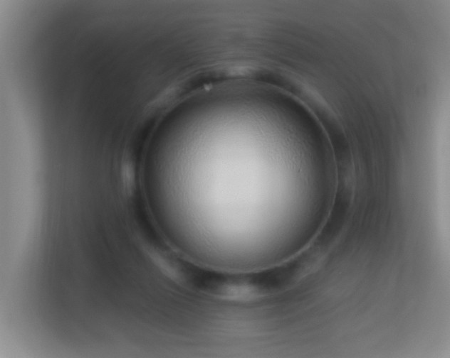 X0000113880262200909241358