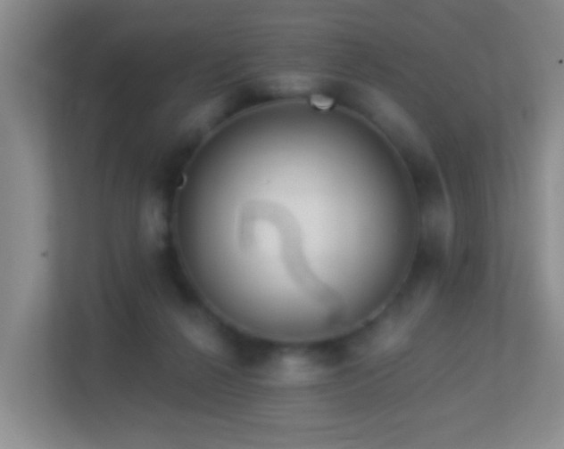 X0000113880264200909241358