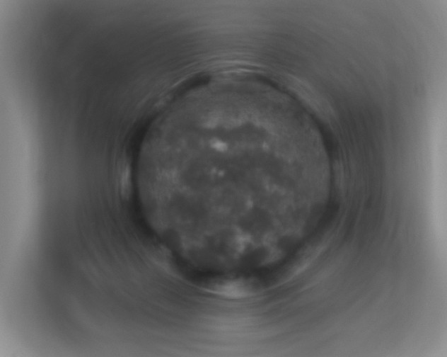X0000113880267200909241358