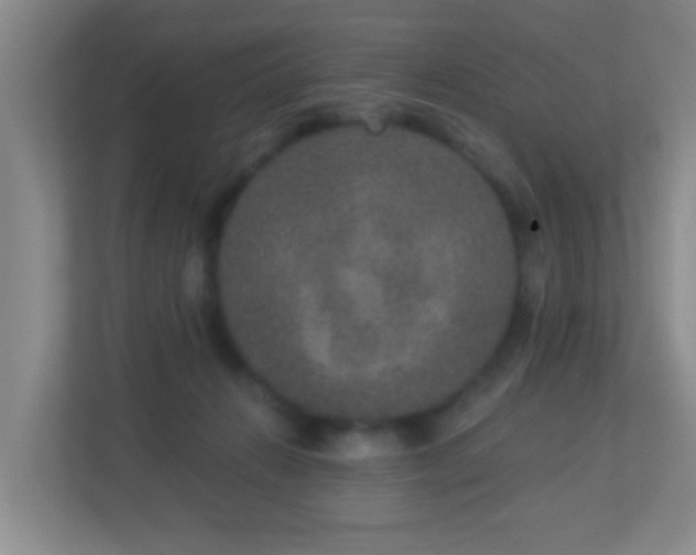 X0000113880270200909241358