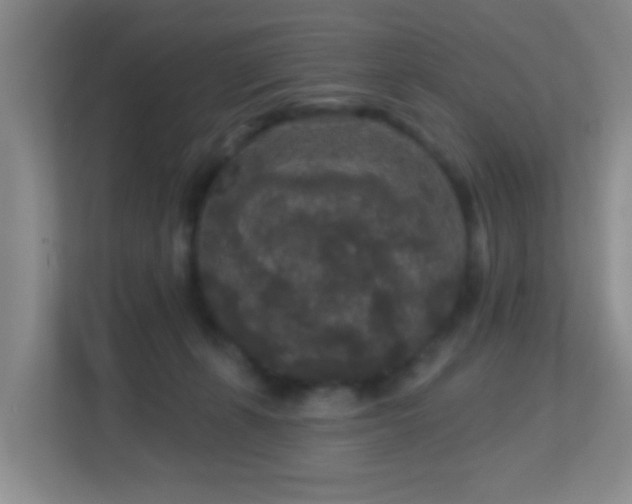 X0000113880271200909241358