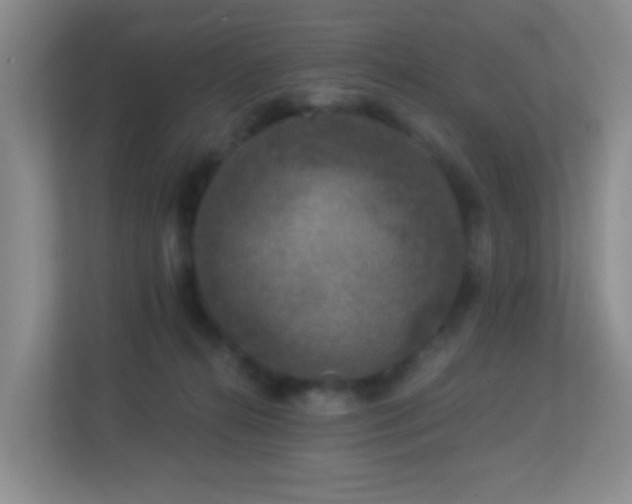 X0000113880272200909241358