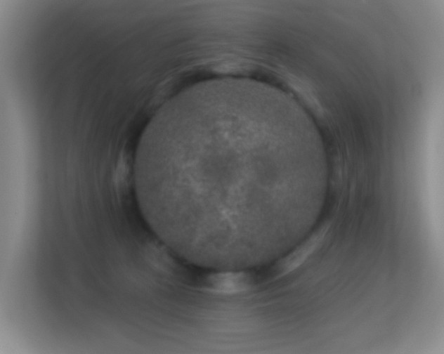 X0000113880273200909241358