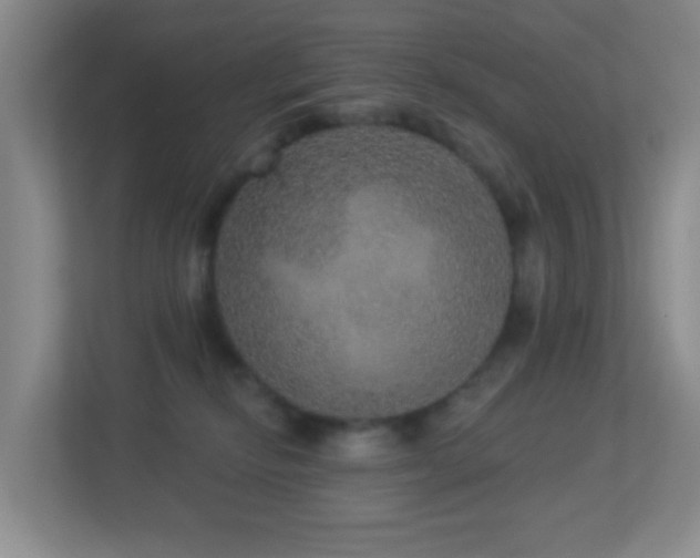 X0000113880278200909241358