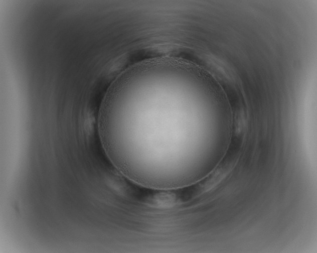 X0000113880279200909241358