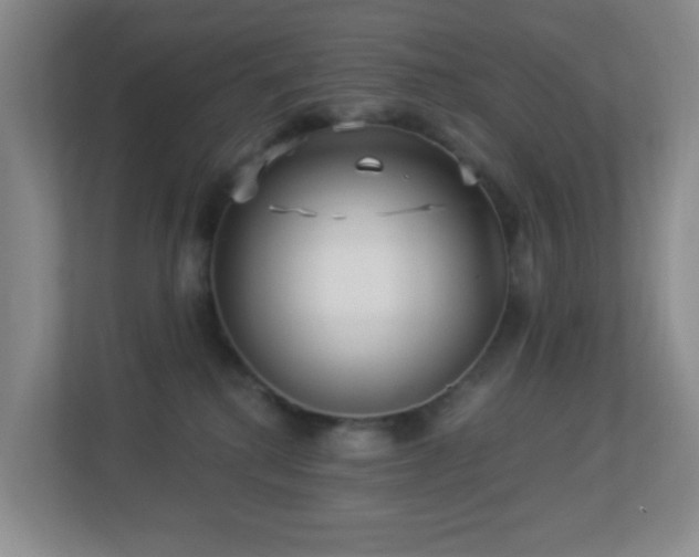 X0000113880280200909241358