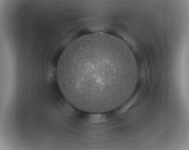 X0000113880281200909241358