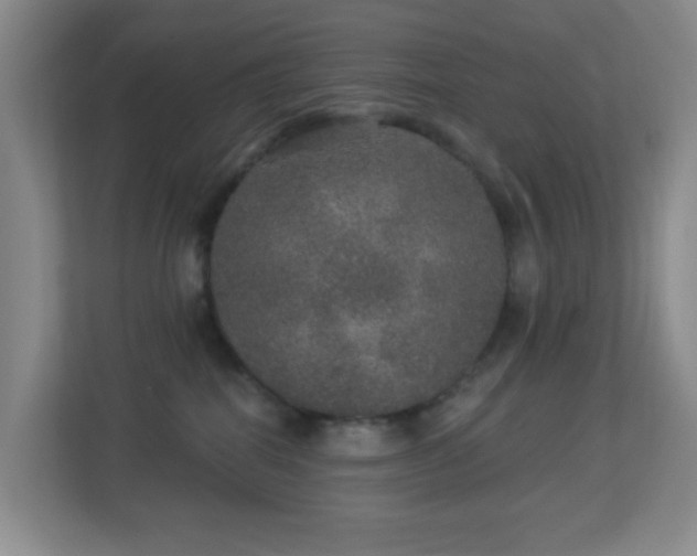 X0000113880282200909241359