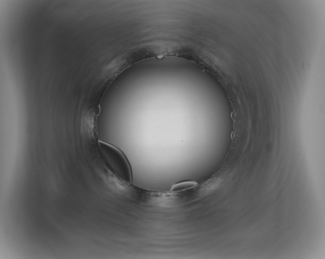 X0000113880288200909241359