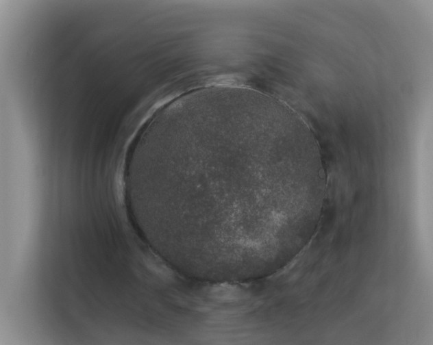 X0000113880290200909241358