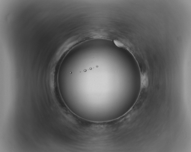 X0000113880291200909241358