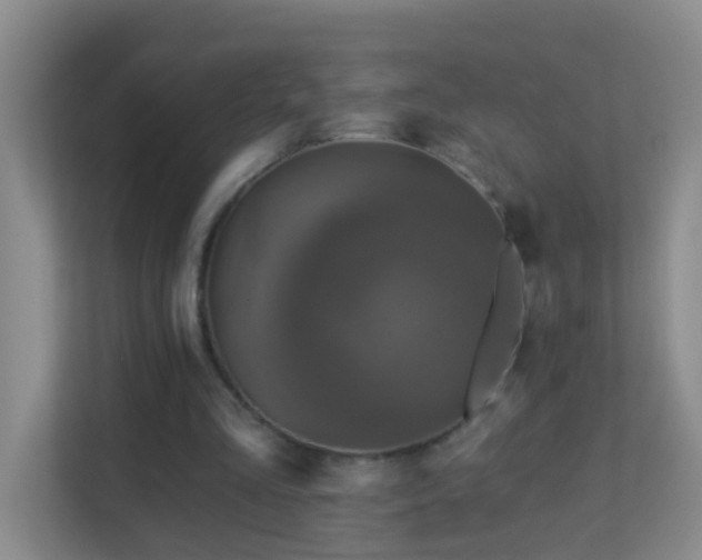 X0000113880293200909241358