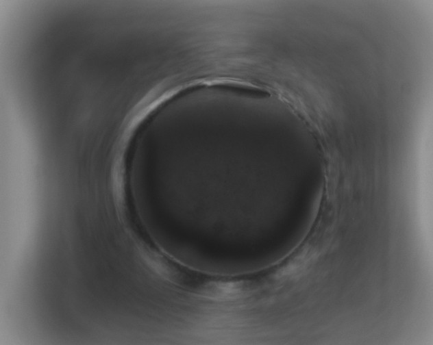 X0000113880295200909241358