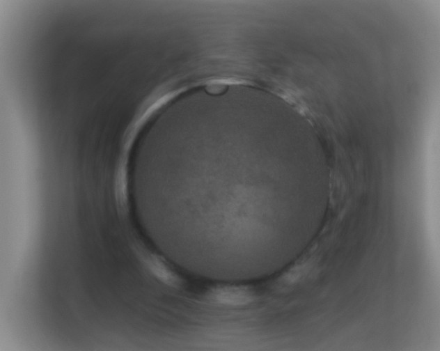 X0000113880296200909241358