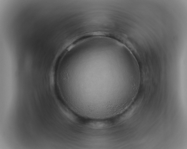 X0000113880299200909241358
