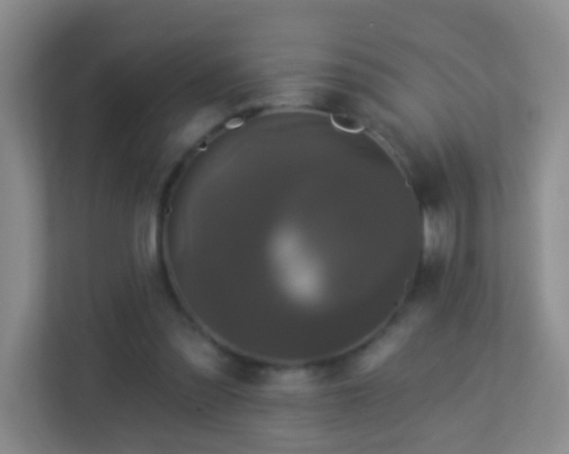X0000113880301200909241358