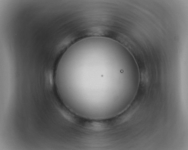 X0000113880302200909241358