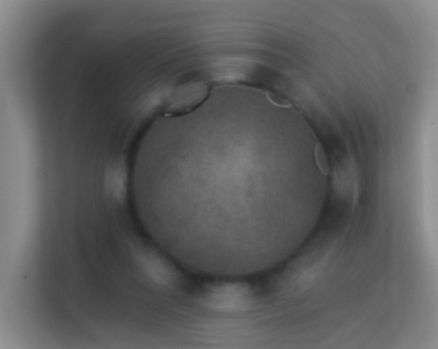 X0000113880304200909241358