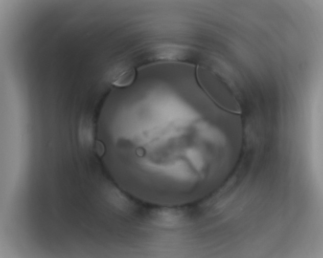 X0000113880305200909241358