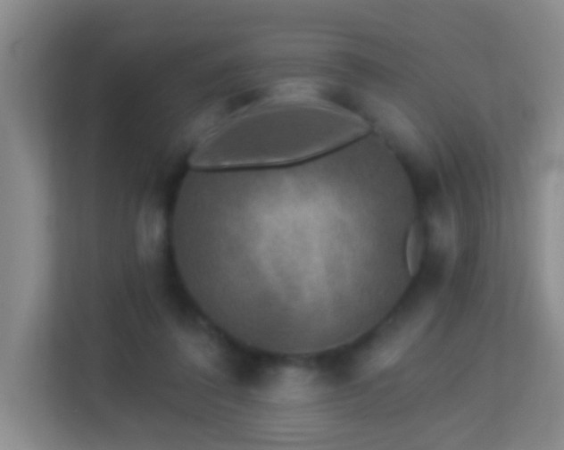 X0000113880308200909241358