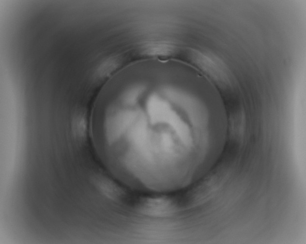 X0000113880309200909241358