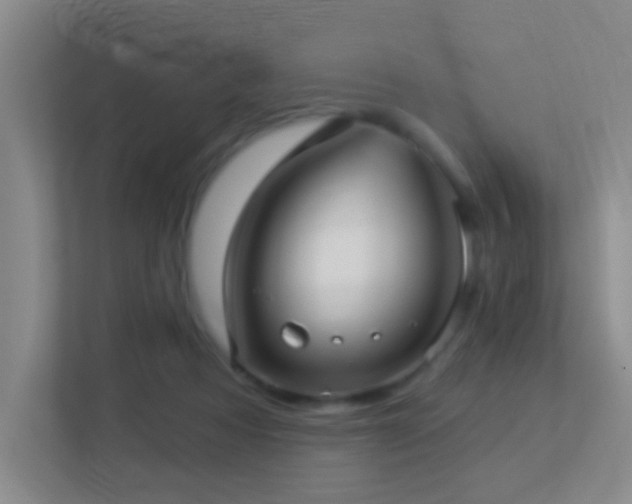 X0000113880313200909241358