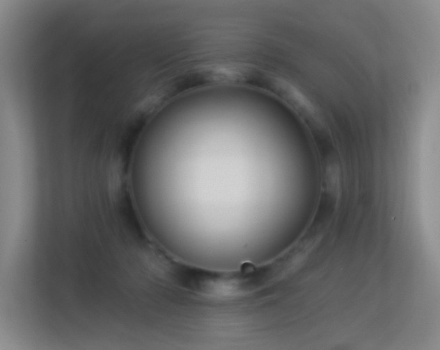 X0000113880318200909241358