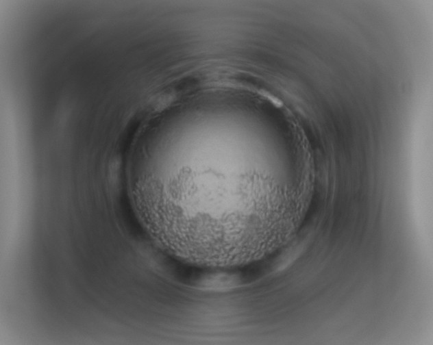 X0000113880319200909241358