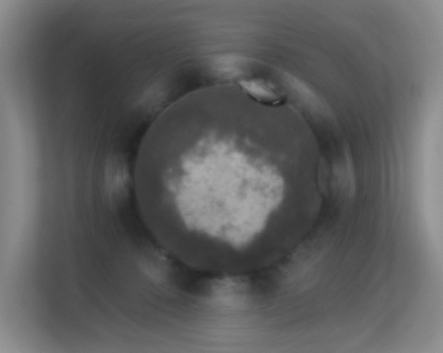 X0000113880320200909241358