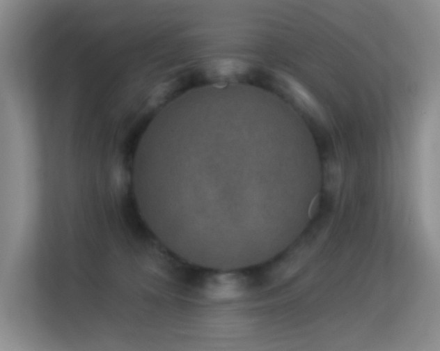 X0000113880324200909241358